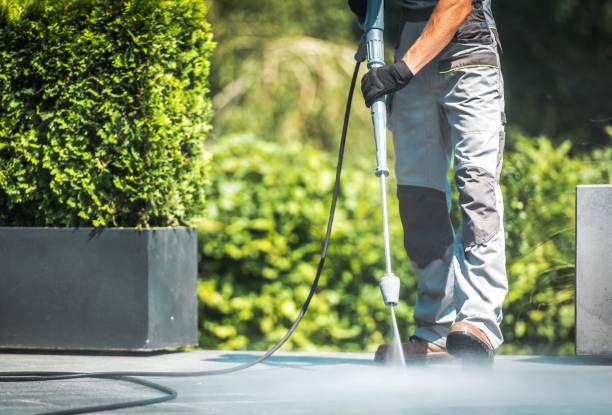 Best Building Exterior Washing  in Sultana, CA